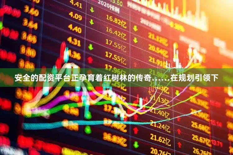 安全的配资平台正孕育着红树林的传奇……在规划引领下