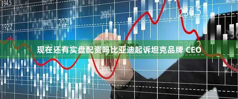 现在还有实盘配资吗比亚迪起诉坦克品牌 CEO