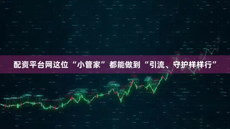 配资平台网这位 “小管家” 都能做到 “引流、守护样样行”