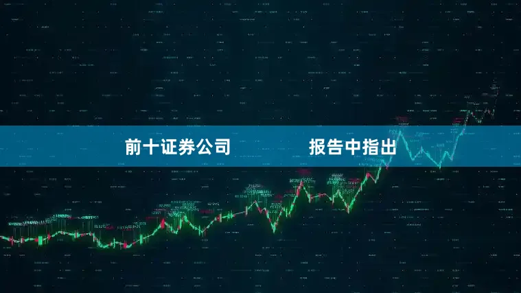 前十证券公司 报告中指出